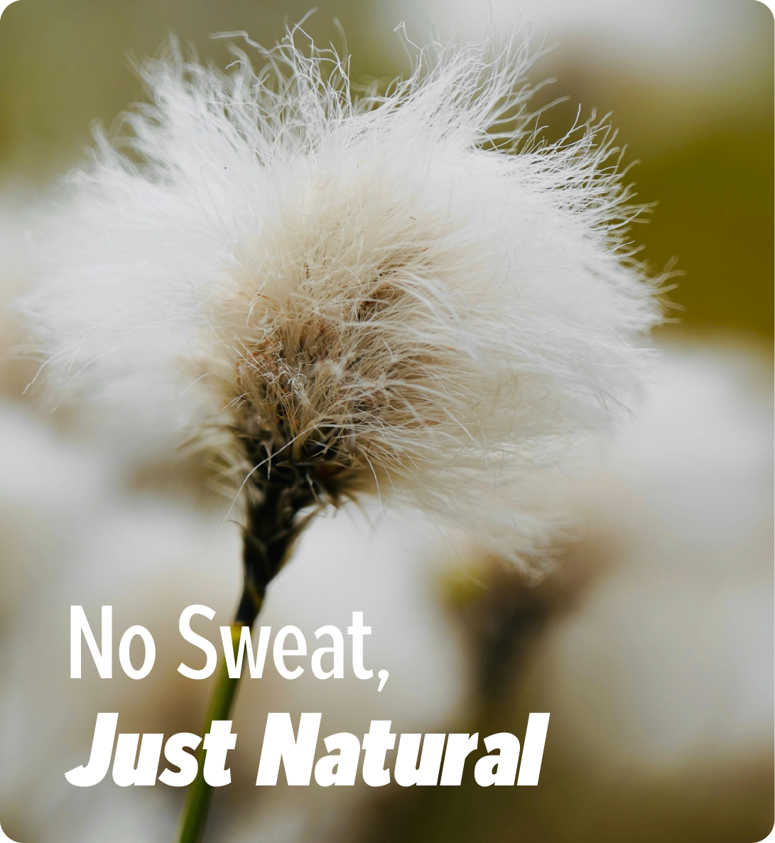 No Sweat, Just Natural