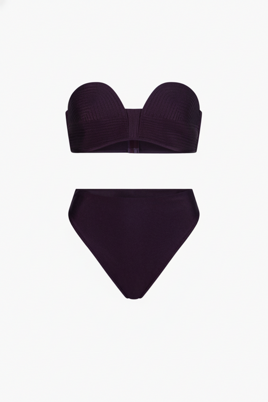 Bikini Ana - Purple